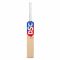 DSC Kashmir Willow Leather/Tennis Cricket Bat in India