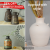 Fabuliv – Exclusive Terracotta Vase Offers Today – Elegance Awaits!