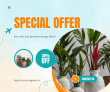 Nurturing Green-upto 38%off on Pots and Planters