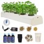 city green hydroponic kit 53% off coupon code & updated discount list on amazon
