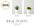 Nurturing Green-Up To 30% OFF Ideal Plants For Home & Living