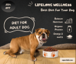 Supertails- Diet for lifelong wellness for dog (upto25%OFF)