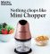 Morphy Richards Electric Chopper