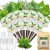 Gourmet Herb Seed Kit 83% off coupon code & updated discount list on amazon