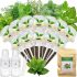 Pindfresh Hydroponics Kit 10% coupon code & updated discount list on amazon