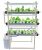 Pindfresh Hydroponic Kit 27% off coupon code & updated discount list on amazon