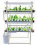 Pindfresh Hydroponic Kit 27% off coupon code & updated discount list on amazon