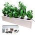 Pindfresh Hydroponic Kit 27% off coupon code & updated discount list on amazon