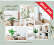 Nurturing Green-Up To Rs.249 OFF  Decor Gifting – Save Up To Rs 249 OFF