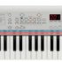 Roland E-X30 Arranger Keyboard 61-keys with Carry Bag