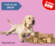 Supertails – Stock up sale of pet item (upto 60% OFF)