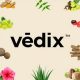 Vedix get upto 60% off on the Vedix Beauty Festival's flash sale!