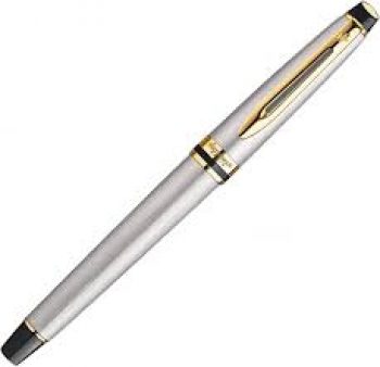 Waterman Expert Fountain Pen