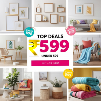 exclusivelane "Best Deals Under ₹599 - Save Up to 54% on Top Offers"