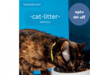 affordable cat litters