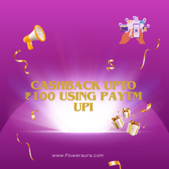 Cashback upto ₹100 using Paytm UPI